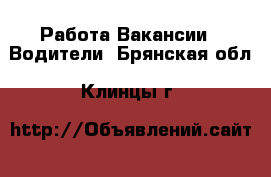 Работа Вакансии - Водители. Брянская обл.,Клинцы г.